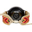 Carnival Spirit Samsung Galaxy Watch Strap